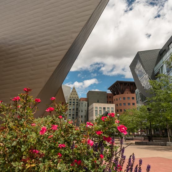 Flowers in front of the Denver Art Museum